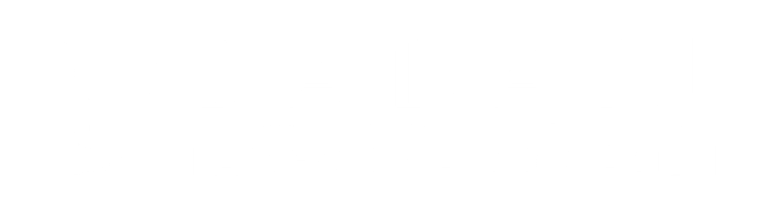 Badari Contábil